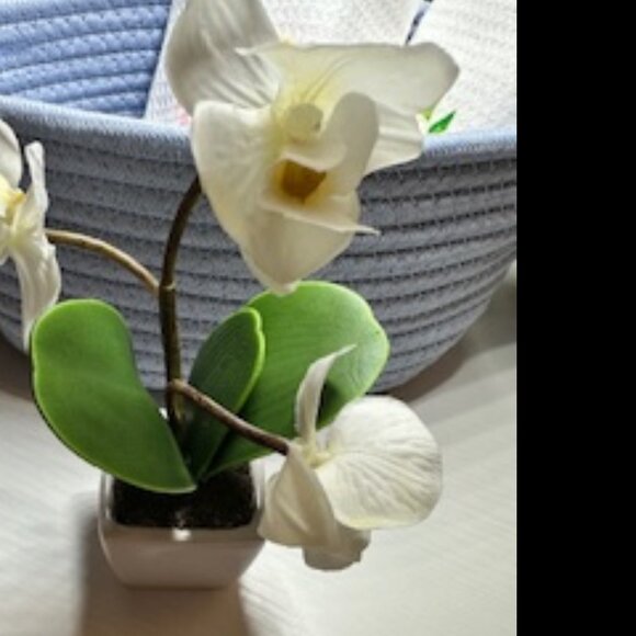 Set of Chinoiserie Towels with Mini Silk Flower in Cotton Rope Basket - Picture 3 of 6